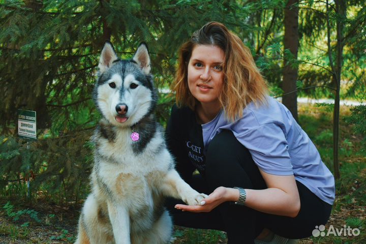 Кинолог DOG-тренер