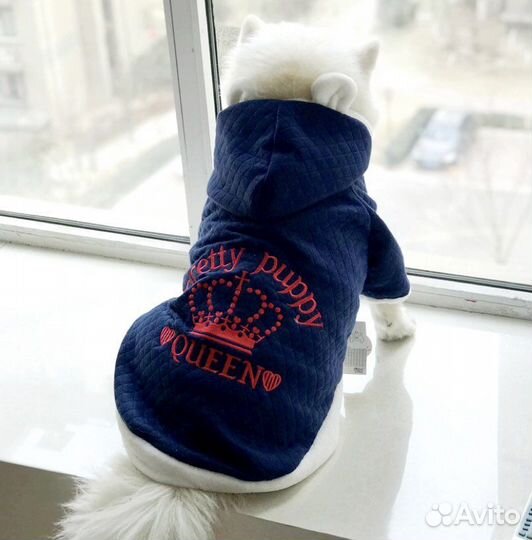 Теплая толстовка собаке
