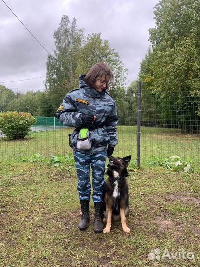 Услуги кинолога,выгул