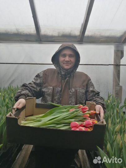 Саженцы плодовых и декоративных культур