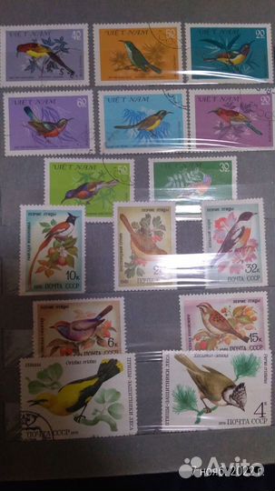 Коллекция марок XX век. 1