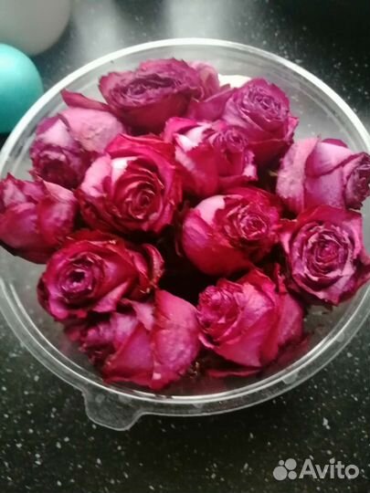 Для творчества