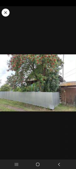 Дом 30,3 м² на участке 29 сот.