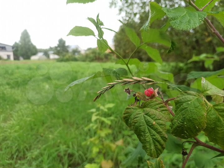 Участок 14 сот. (ИЖС)