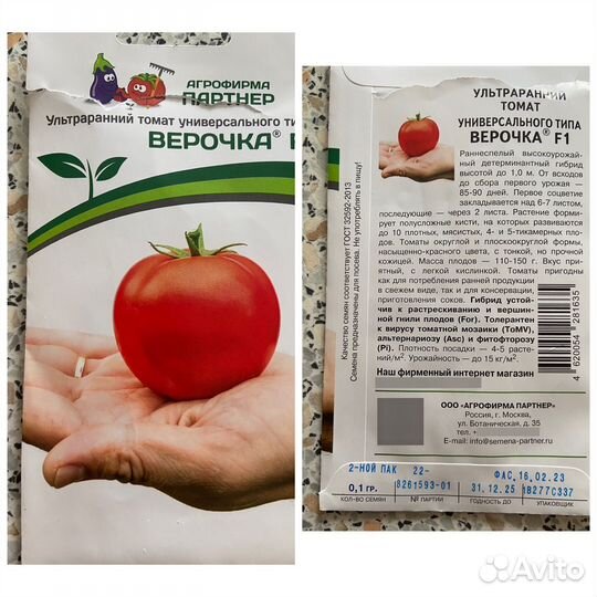 Рассада томатов