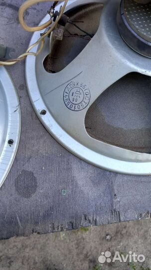 Динамики.комплект.с проводами. Ригонда