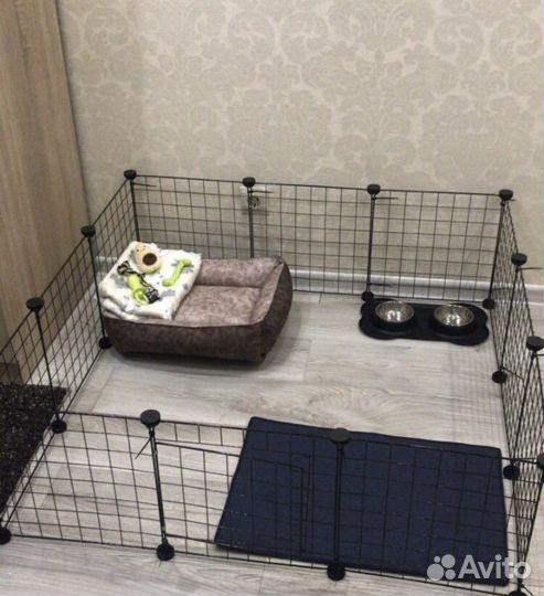 Вольер для собак