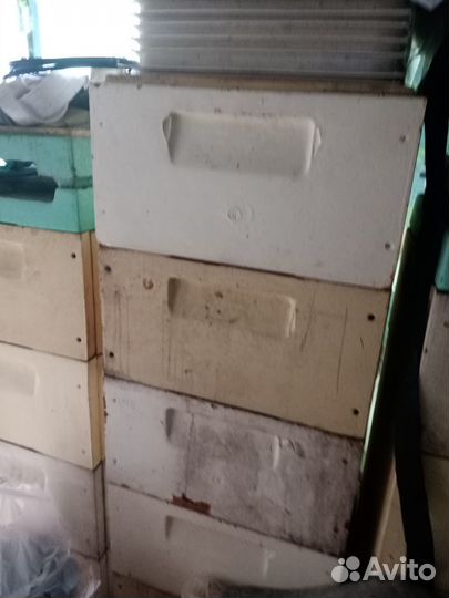 Пчелиные ульи