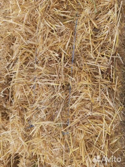 Солома ячменная в тюках