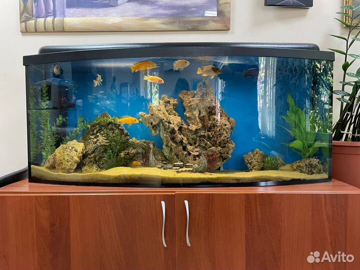 Аквариум Wromak с тумбой