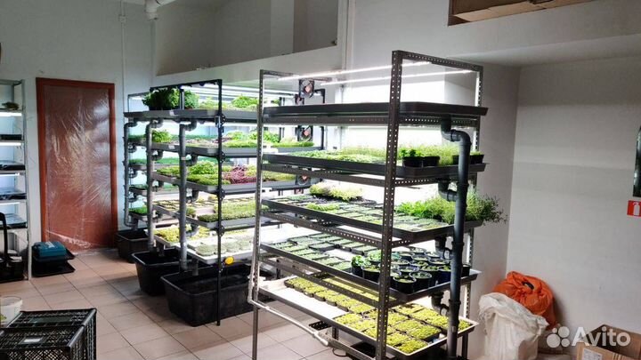 Новая свободная ниша в твоем городе. обучение