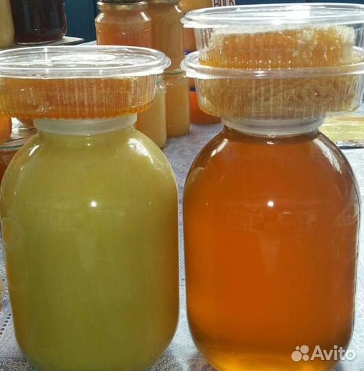 Экслюзивный дорогой мёд - дягелевый