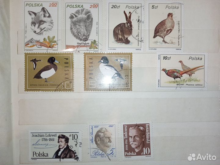 Почтовые марки Polska (Польша)