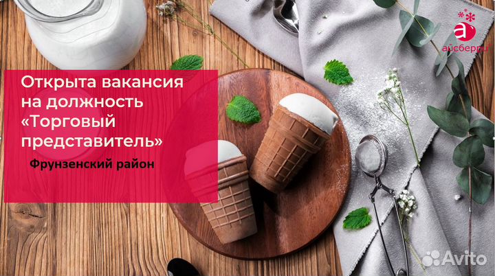 Старший торговый представитель (г.Вельск)