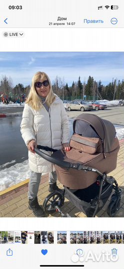 Коляска pituso Nino 2в1