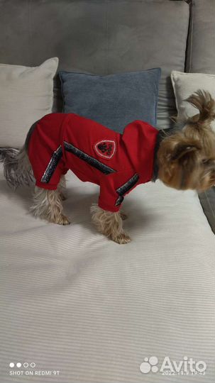 Комбинезон для маленькой собаки