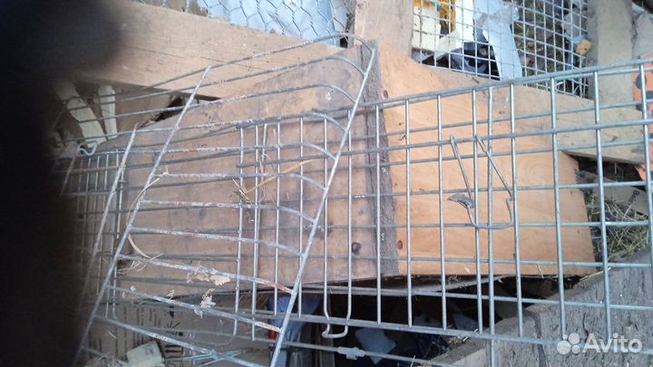 Клетка конструктор для кроликов.Корпус,отсадник