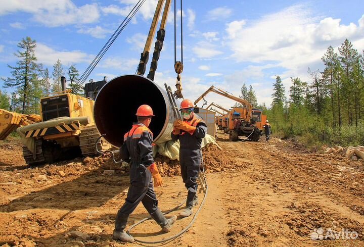 Дорожный рабочий/бесплатно проживание и питание