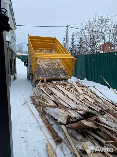 Горбыль хвойный