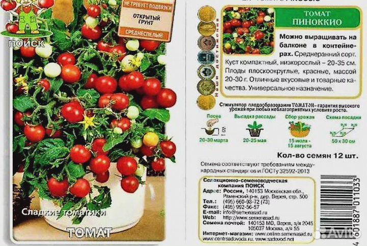 Рассада комнатных томатов, огурец «комнатный»