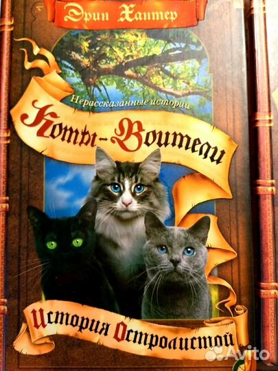 Коты-воители