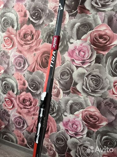 Лыжи беговые tisa universal