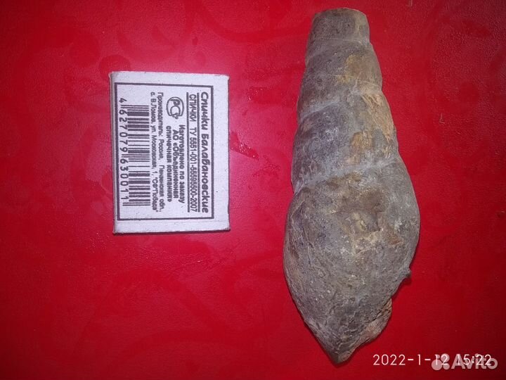 Окаменелости