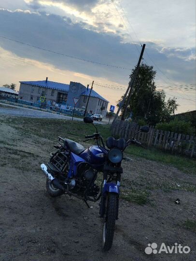 Альфа спорт эдишен