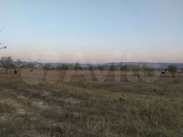 Участок 1,28 га (СНТ, ДНП)