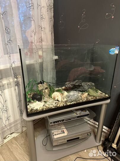 Аквариум с тумбой