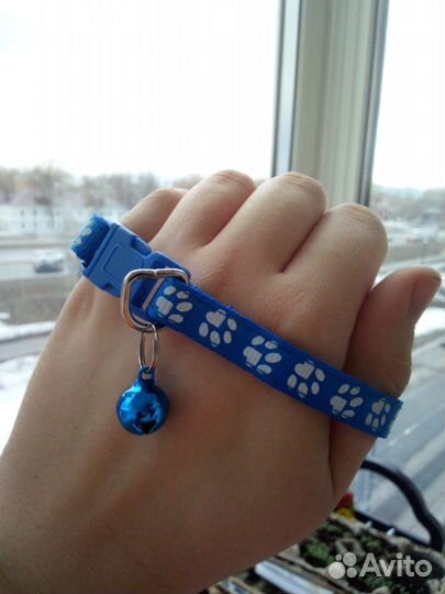 Синий ошейник с бубенчиком
