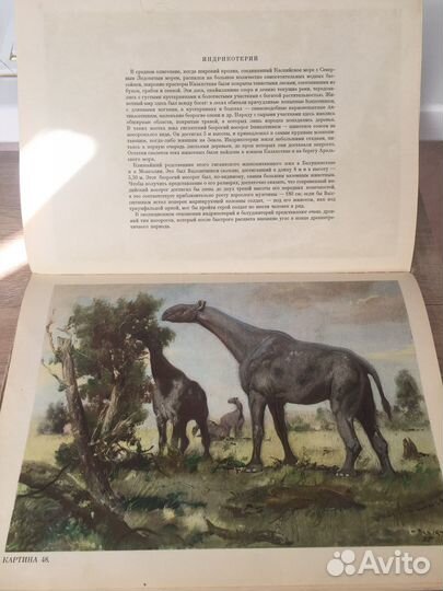 Книги. По путям развития жизни. Прага 1963