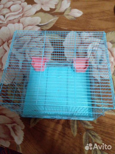 Клетка для птиц
