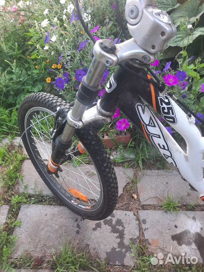 Велосипед детский/подростковый stels pilot 250