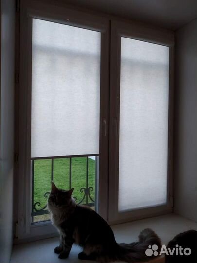 Рулонные шторы Зебра (день-ночь )