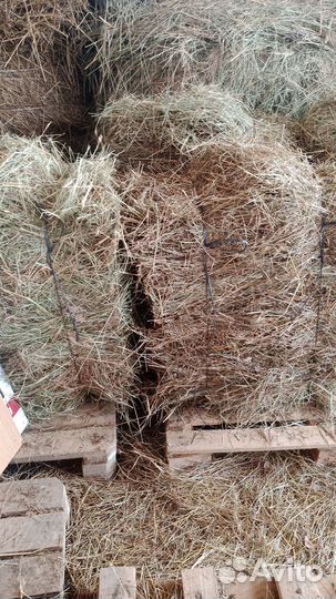 Сено в тюках