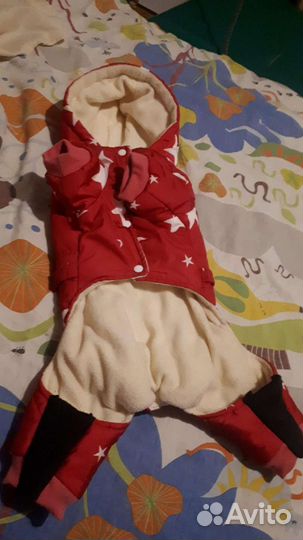 Комбинезон для средних пород собак