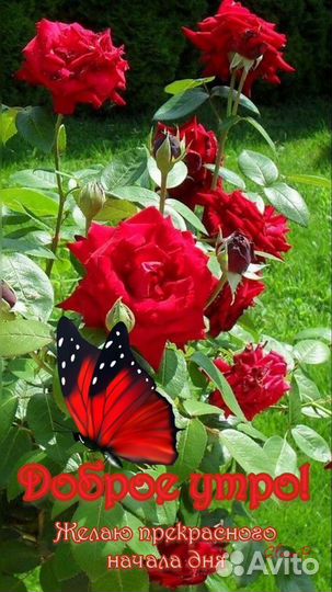 Охрана и безопасность