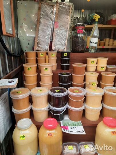 Мед Сурского края