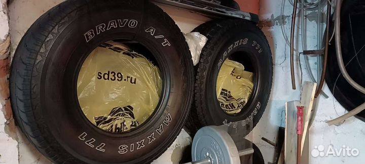 Accelera Beta 75 R16