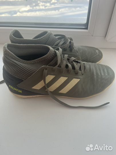 Футзалки adidas predator