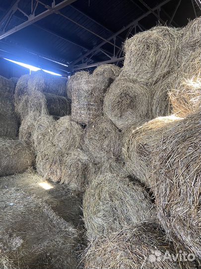 Сено в рулонах оптом