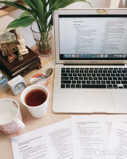 Индивидуальный проект 10 класс