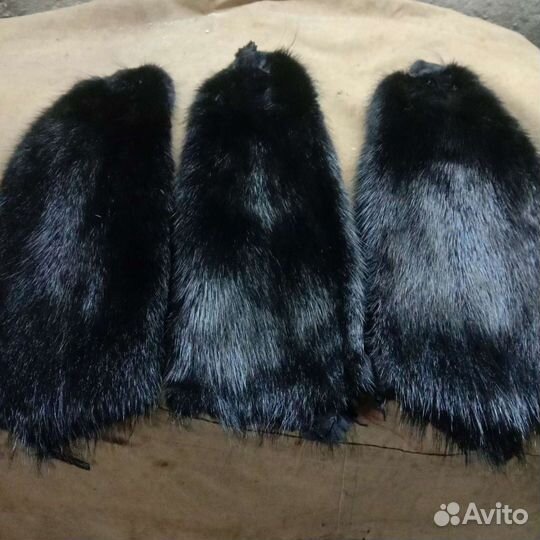 Шкурка животного