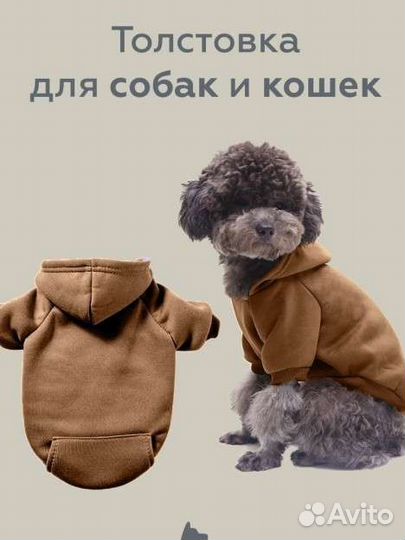 Толстовка для собак и кошек