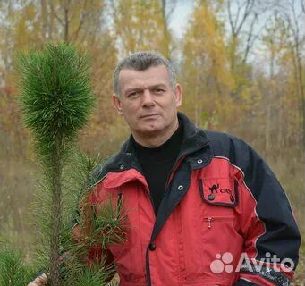 Ремонт сушильных/стиральных/посудомоечных машин