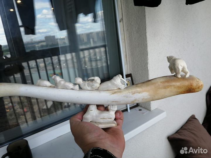 Мишки Бакулум Из кости северного водоплавающего