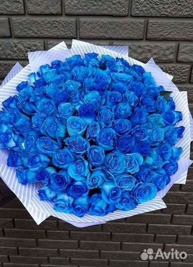Синие розы Доставка цветов