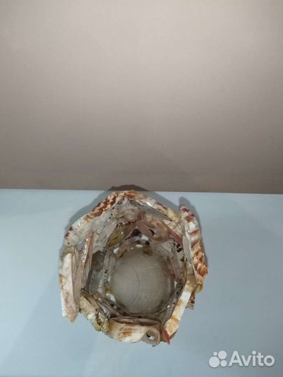 Ваза из ракушек