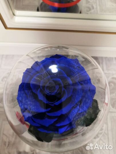 Роза в колбе